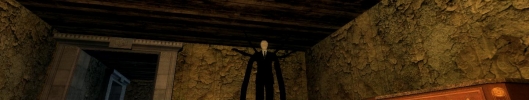 Slender Mansion